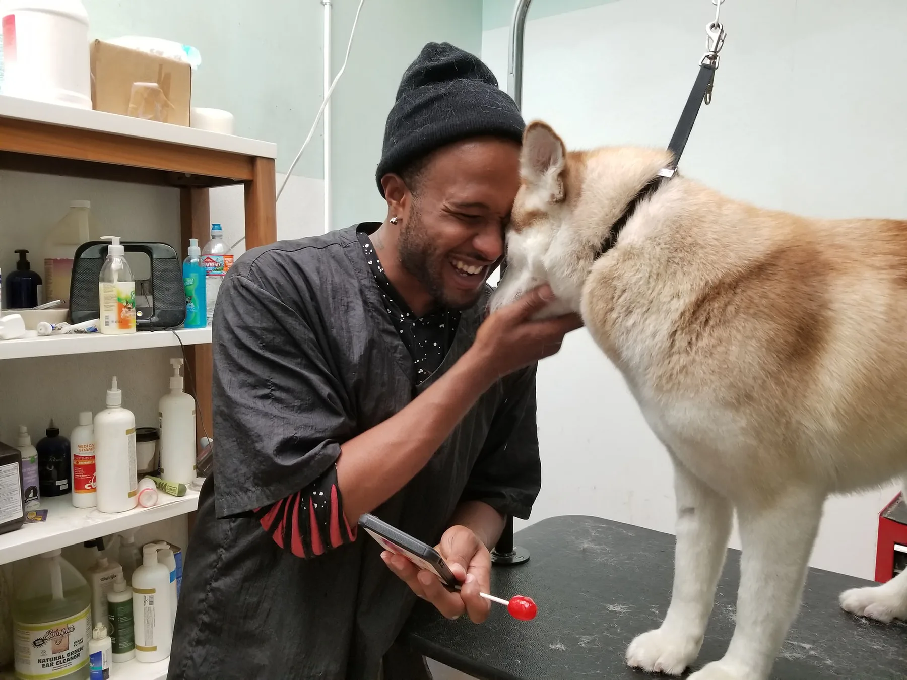 A volunteer laughing with a husky mid-groom